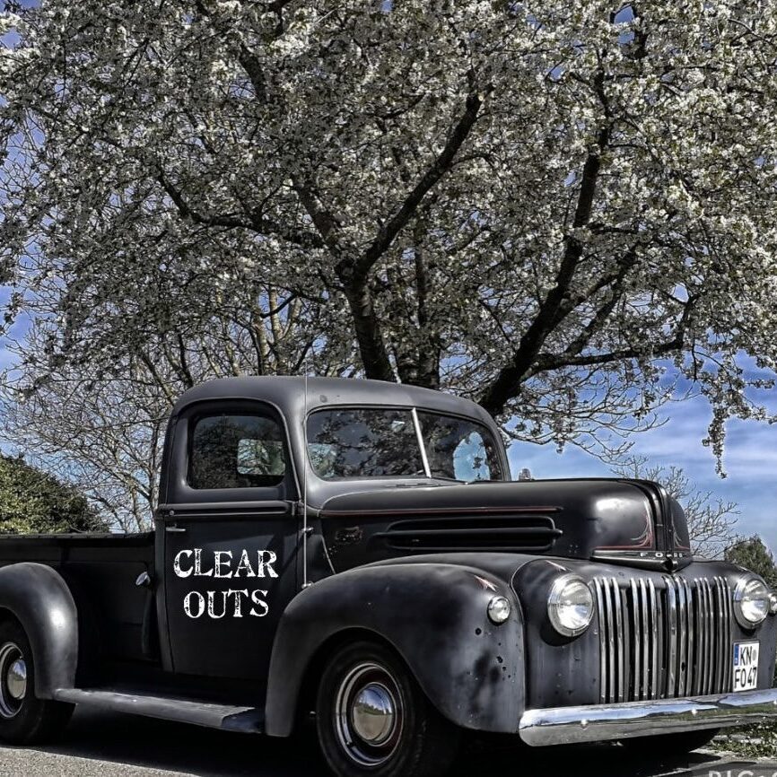 Logo auf Auto unter einem Baum stehend.